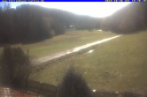 Archiv Foto Webcam Ferienhaus Carola in Hinterzarten 09:00