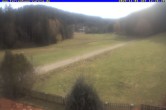 Archiv Foto Webcam Ferienhaus Carola in Hinterzarten 11:00