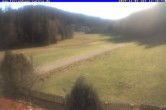Archiv Foto Webcam Ferienhaus Carola in Hinterzarten 11:00