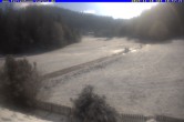 Archived image Webcam Holiday lodge Carola at Hinterzarten 10:00