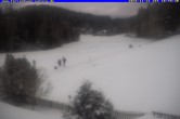 Archiv Foto Webcam Ferienhaus Carola in Hinterzarten 10:00