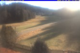 Archiv Foto Webcam Ferienhaus Carola in Hinterzarten 11:00
