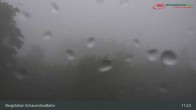 Archived image Webcam Schauinsland Hofgrund (top station) 10:00