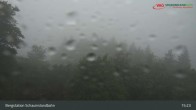 Archiv Foto Webcam Schauinsland Hofgrund 14:00