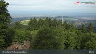 Archived image Webcam Schauinsland Hofgrund (top station) 08:00