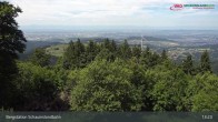 Archiv Foto Webcam Schauinsland Hofgrund 12:00