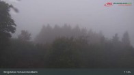 Archiv Foto Webcam Schauinsland Hofgrund 08:00