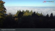Archiv Foto Webcam Schauinsland Hofgrund 08:00