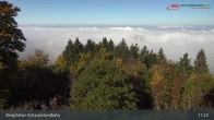 Archiv Foto Webcam Schauinsland Hofgrund 10:00