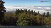 Archiv Foto Webcam Schauinsland Hofgrund 12:00