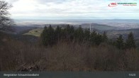 Archiv Foto Webcam Schauinsland Hofgrund 12:00