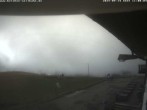 Archiv Foto Webcam Belchen im Schwarzwald 11:00