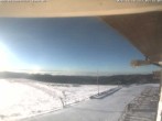 Archived image Webcam Belchen in Black Forest 07:00