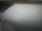 Archived image Webcam Ski resort Belchen 13:00
