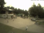 Archiv Foto Webcam Ski- und Rodelarena Wasserkuppe in der Rhön 11:00