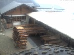 Archiv Foto Webcam Haus Schönblick (rund 1.000 Meter) 13:00