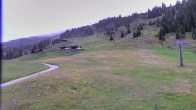Archiv Foto Webcam Snowpark Flachauwinkl 11:00