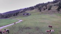 Archiv Foto Webcam Snowpark Flachauwinkl 13:00