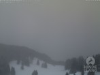 Archiv Foto Webcam Blick auf Hornalp 15:00