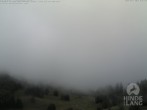 Archiv Foto Webcam Blick auf Hornalp 06:00