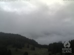 Archiv Foto Webcam Blick auf Hornalp 05:00