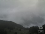 Archiv Foto Webcam Blick auf Hornalp 07:00