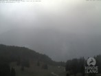 Archiv Foto Webcam Blick auf Hornalp 11:00