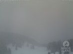 Archiv Foto Webcam Blick auf Hornalp 08:00