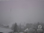 Archiv Foto Webcam Sicht vom Kinderhotel Oberjoch aus auf das Skigebiet gegenüber 09:00