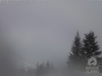 Archived image Webcam Kids hotel Oberjoch: view at the nature reseve "Allgäuer Hochalpen" 15:00