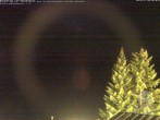 Archiv Foto Webcam Naturschutzgebiet "Allgäuer Hochalpen" vom Kinderhotel Oberjoch aus gesehen 23:00