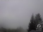 Archived image Webcam Kids hotel Oberjoch: view at the nature reseve "Allgäuer Hochalpen" 11:00