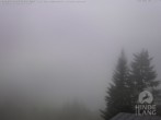 Archived image Webcam Kids hotel Oberjoch: view at the nature reseve "Allgäuer Hochalpen" 15:00
