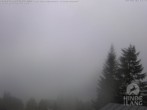 Archiv Foto Webcam Naturschutzgebiet "Allgäuer Hochalpen" vom Kinderhotel Oberjoch aus gesehen 06:00