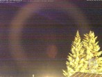 Archiv Foto Webcam Naturschutzgebiet "Allgäuer Hochalpen" vom Kinderhotel Oberjoch aus gesehen 01:00