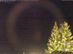 Archiv Foto Webcam Naturschutzgebiet "Allgäuer Hochalpen" vom Kinderhotel Oberjoch aus gesehen 01:00