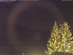 Archiv Foto Webcam Naturschutzgebiet "Allgäuer Hochalpen" vom Kinderhotel Oberjoch aus gesehen 23:00