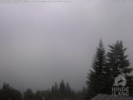 Archiv Foto Webcam Naturschutzgebiet "Allgäuer Hochalpen" vom Kinderhotel Oberjoch aus gesehen 05:00