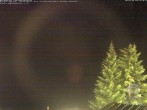 Archiv Foto Webcam Naturschutzgebiet "Allgäuer Hochalpen" vom Kinderhotel Oberjoch aus gesehen 01:00