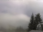 Archiv Foto Webcam Naturschutzgebiet "Allgäuer Hochalpen" vom Kinderhotel Oberjoch aus gesehen 05:00