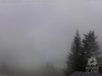 Archived image Webcam Kids hotel Oberjoch: view at the nature reseve "Allgäuer Hochalpen" 09:00