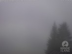 Archiv Foto Webcam Naturschutzgebiet "Allgäuer Hochalpen" vom Kinderhotel Oberjoch aus gesehen 07:00