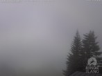 Archiv Foto Webcam Naturschutzgebiet "Allgäuer Hochalpen" vom Kinderhotel Oberjoch aus gesehen 15:00