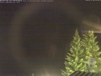 Archiv Foto Webcam Naturschutzgebiet "Allgäuer Hochalpen" vom Kinderhotel Oberjoch aus gesehen 01:00