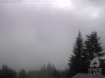Archiv Foto Webcam Naturschutzgebiet "Allgäuer Hochalpen" vom Kinderhotel Oberjoch aus gesehen 06:00
