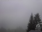 Archiv Foto Webcam Naturschutzgebiet "Allgäuer Hochalpen" vom Kinderhotel Oberjoch aus gesehen 07:00