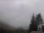 Archiv Foto Webcam Naturschutzgebiet "Allgäuer Hochalpen" vom Kinderhotel Oberjoch aus gesehen 11:00