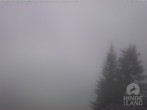 Archiv Foto Webcam Naturschutzgebiet "Allgäuer Hochalpen" vom Kinderhotel Oberjoch aus gesehen 13:00