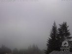 Archiv Foto Webcam Naturschutzgebiet "Allgäuer Hochalpen" vom Kinderhotel Oberjoch aus gesehen 15:00