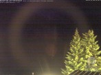Archiv Foto Webcam Naturschutzgebiet "Allgäuer Hochalpen" vom Kinderhotel Oberjoch aus gesehen 01:00